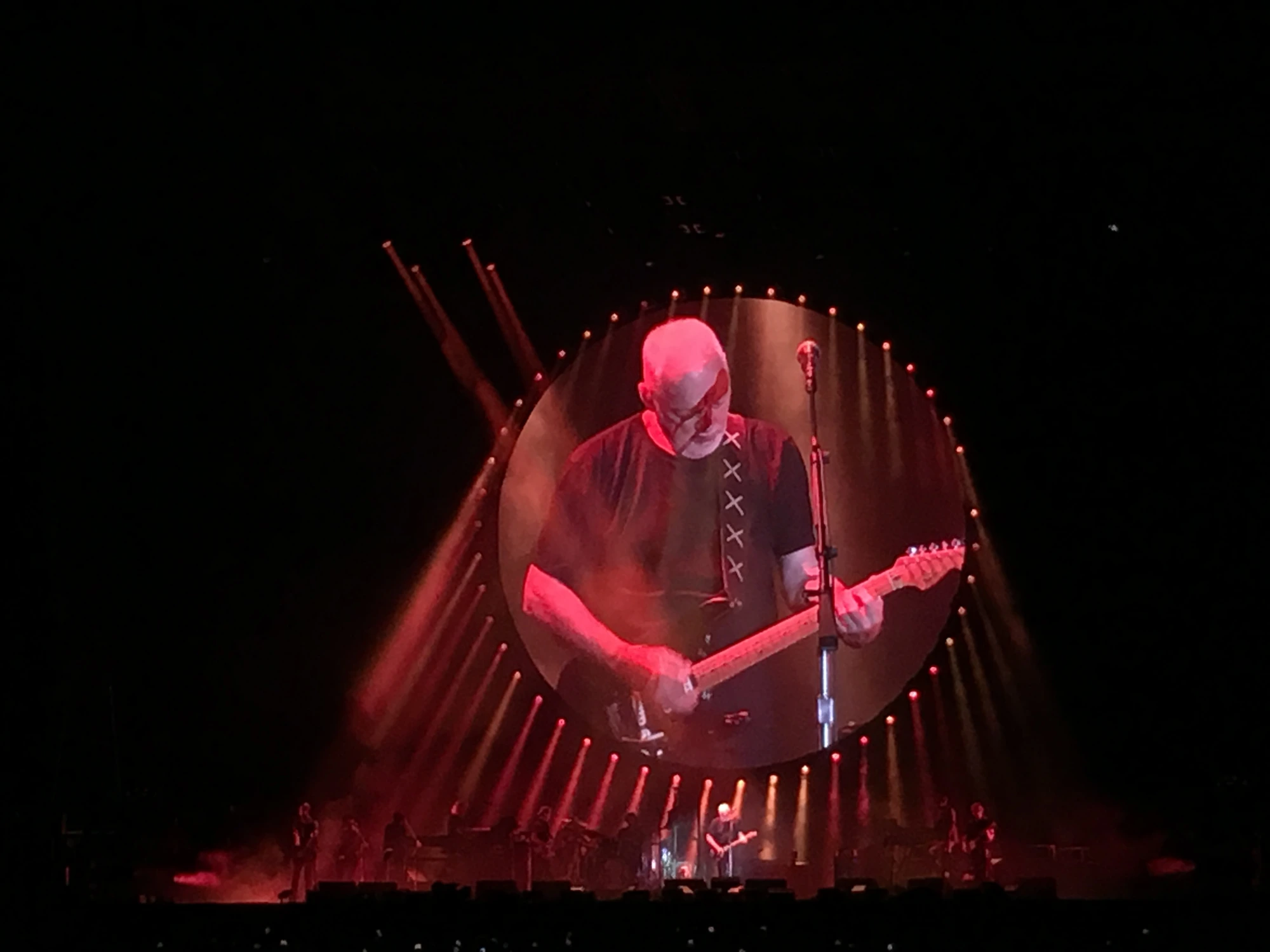 david gilmour