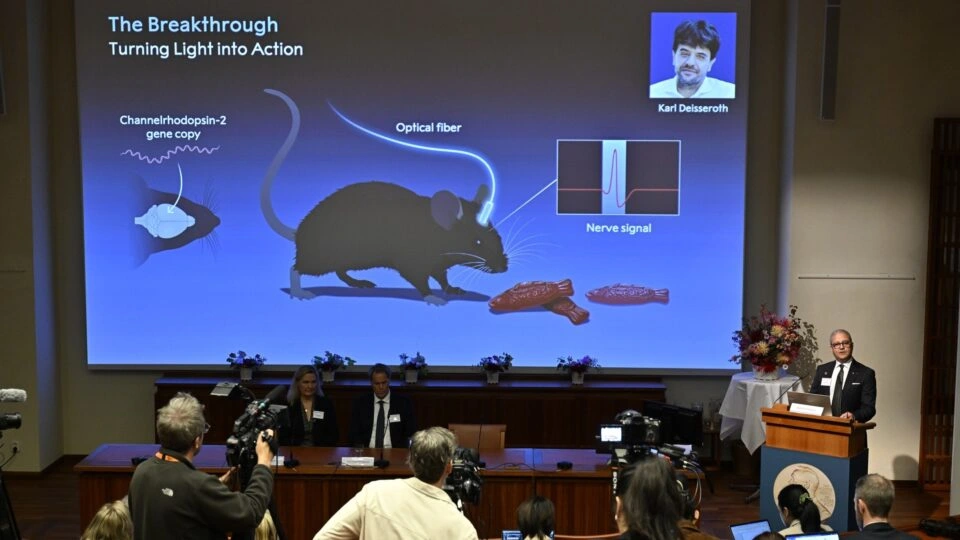 Estudo sobre percepção de luz em algas rende Nobel de Medicina para trio