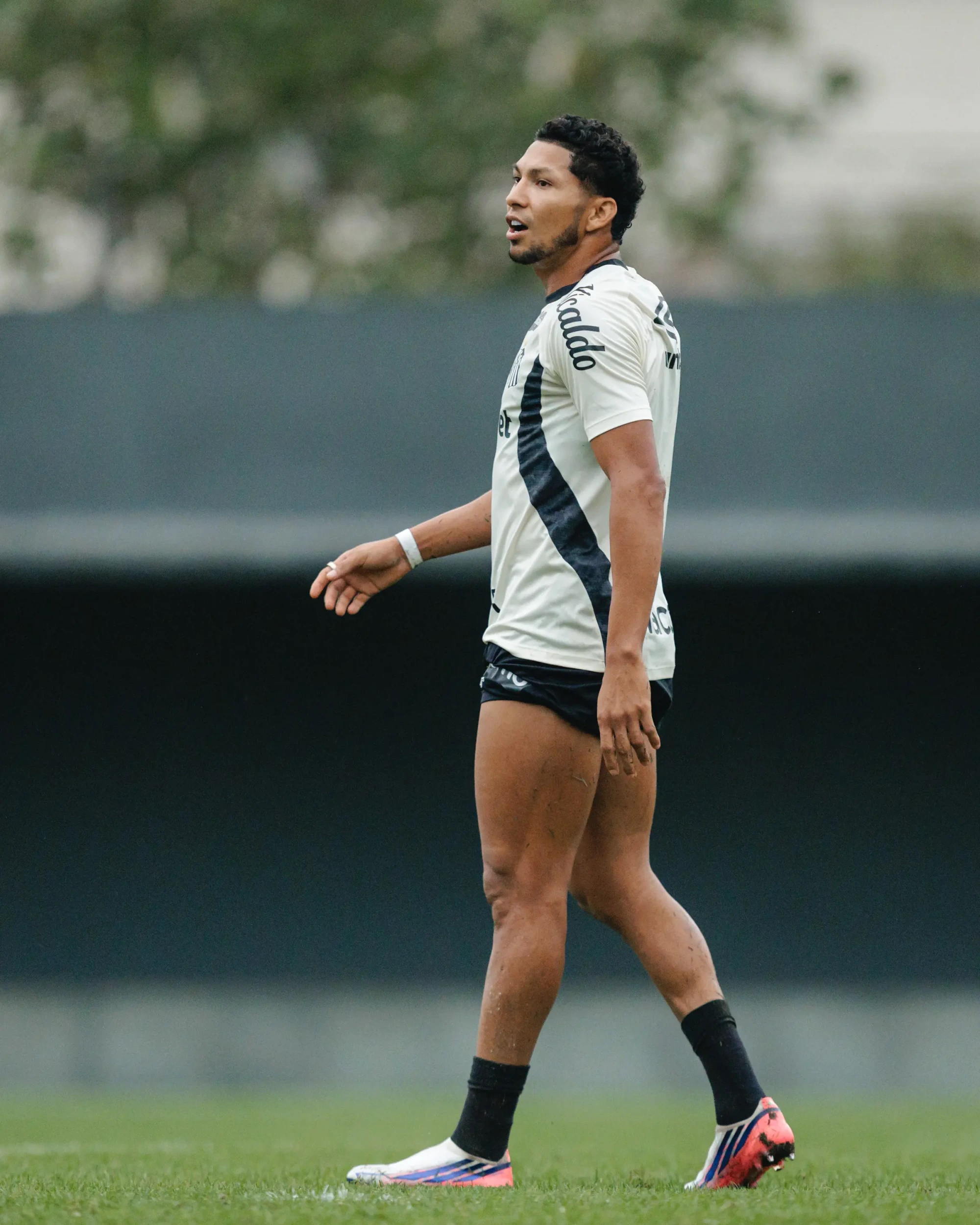 Treino do Santos: veja fotos da reapresentação do elenco após vitória na Sul-Americana