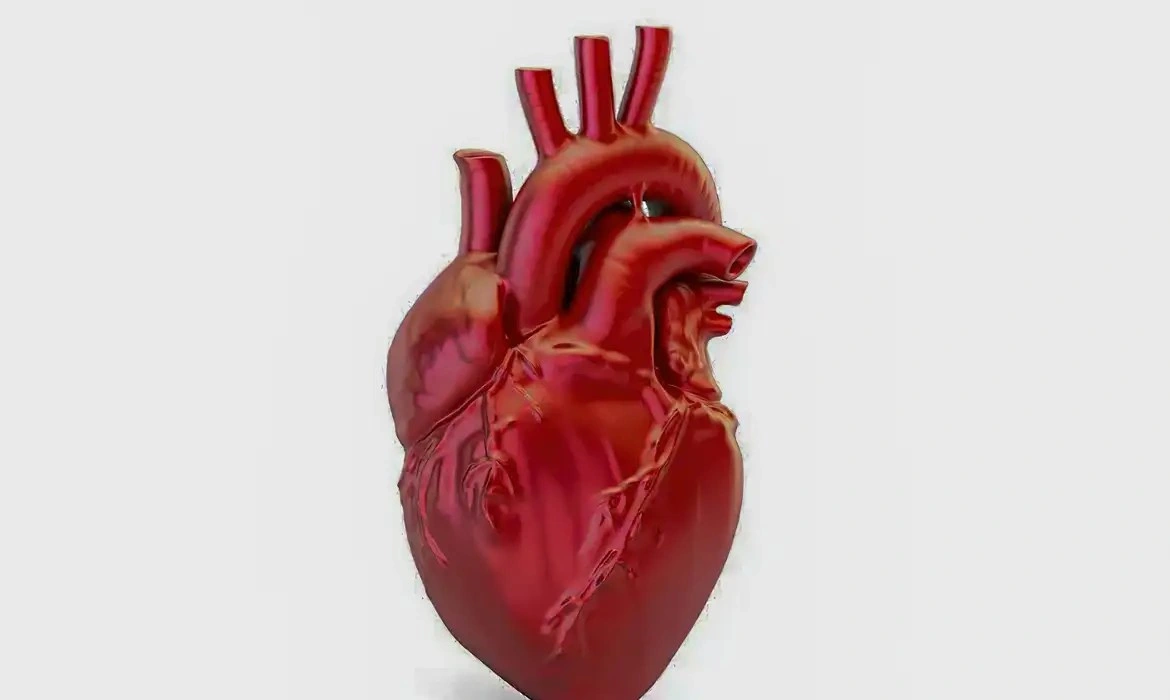 Nova diretriz atualiza definição de infarto e muda critérios para diagnóstico