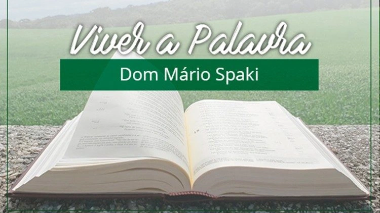 Evangelho de 14 de outubro