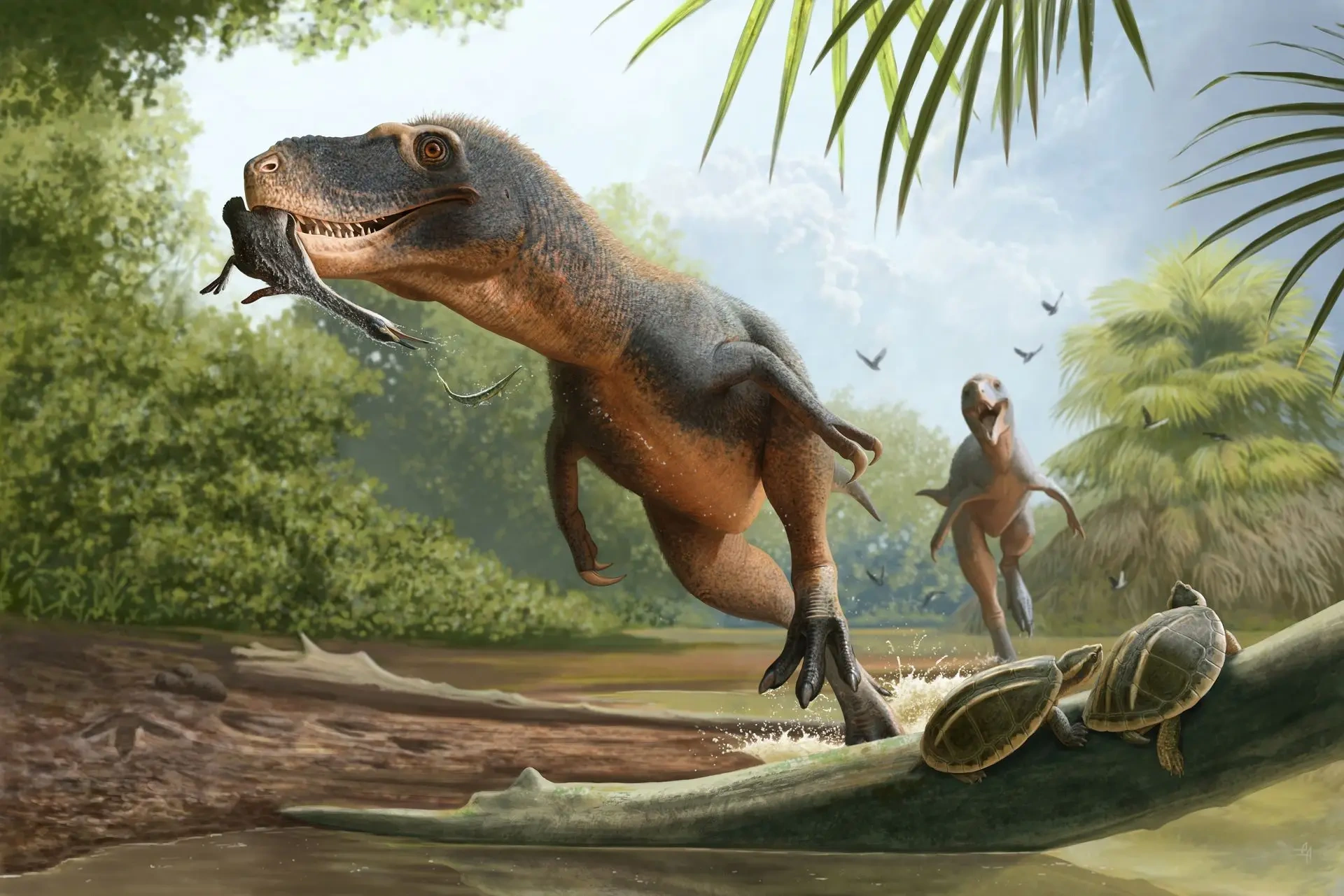 Pena achada em cocô de dinossauro pode explicar por que aves escaparam da extinção