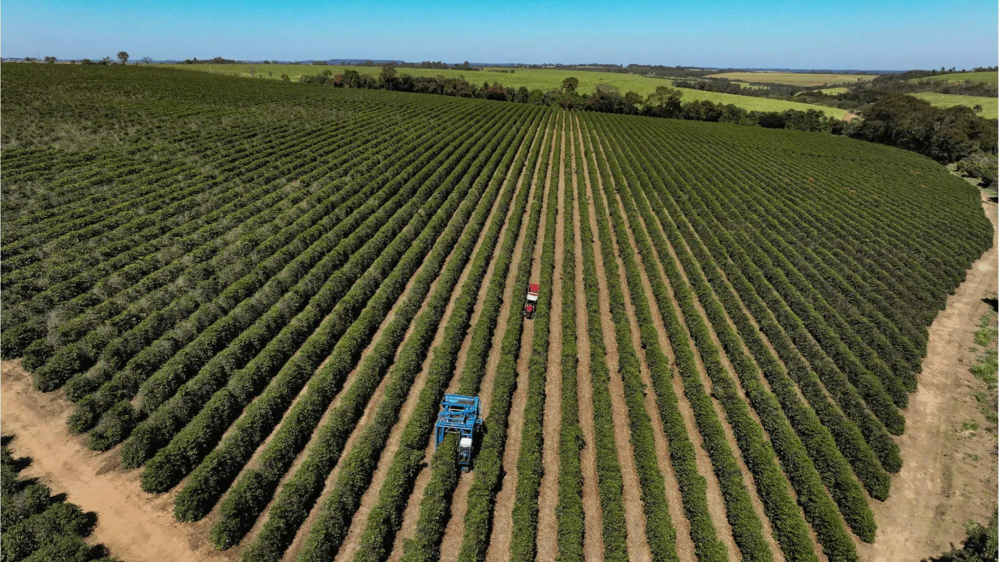 Agronegócio quer políticas mais perenes para enfrentar juros, clima e Custo Brasil