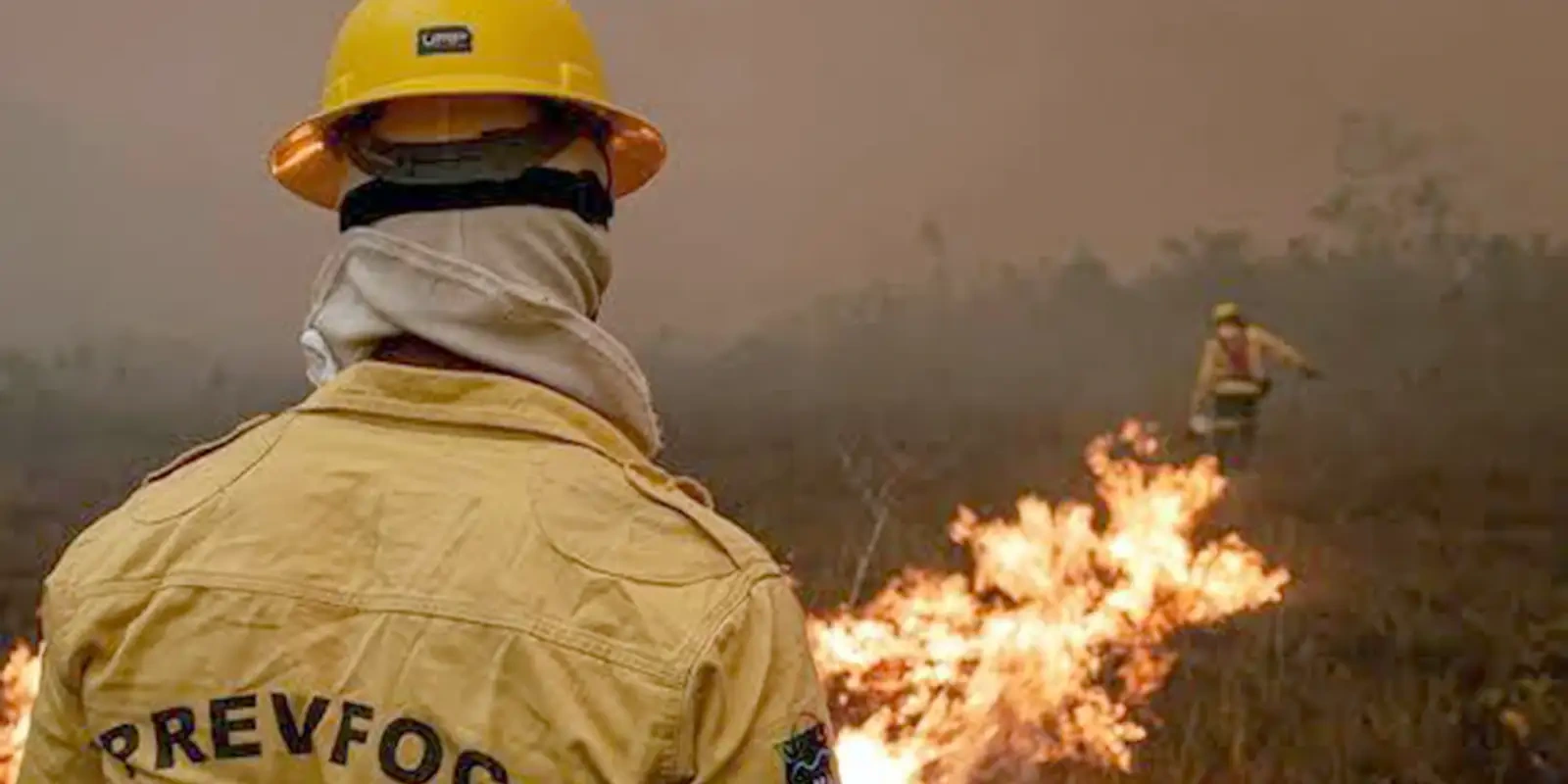 Ibama apaga 229 incêndios no Amazonas e segue no combate ao fogo